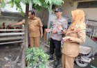 POLRESTA-SIDOARJO-|-Bhabinkamtibmas-Desa-Tenggulunan-Dampingi-Peternak-Ayam-Petelur-Wujudkan-Ketahanan-Pangan