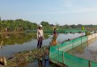 Polisi-Turun-Langsung-ke-Lahan-Tambak-Ikan-di-Kalidawir-Siap-Wujudkan-Ketahanan-Pangan-Nasional