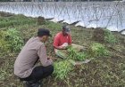 Edukasi-Ketahanan-Pangan,-Bhabinkamtibmas-Ajak-Petani-Manfaatkan-Lahan-Kosong-untuk-Tanam-Kangkung