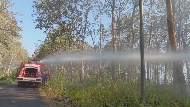 Polisi dan Petugas Gabungan Berhasil Padamkan Kebakaran Hutan Jati di Kabupaten Malang