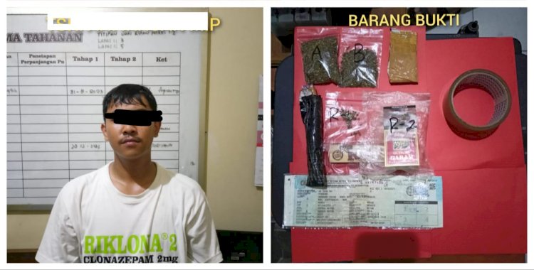 Polres Madiun Kota Berhasil Amankan Tersangka Pengedar Narkotika Jenis Ganja