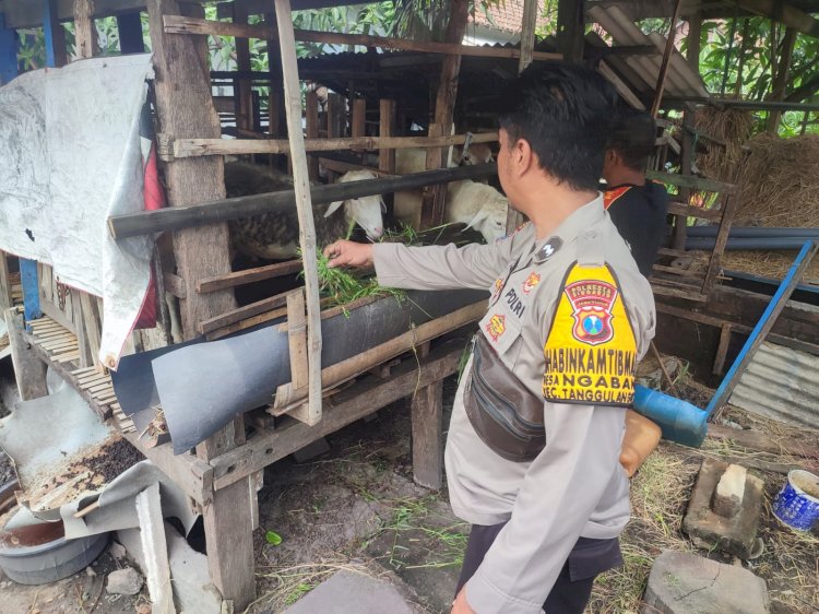 POLRESTA SIDOARJO | Sinergi Kepolisian dan Warga Kembangkan Program Ketahanan Pangan di Tanggulangin Sidoarjo